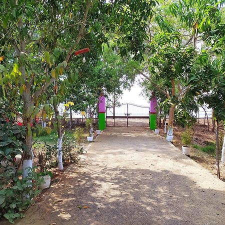 Estuarine Village Resort Sātabhāya المظهر الخارجي الصورة