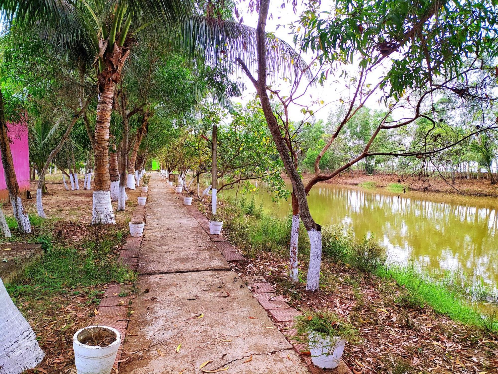 Estuarine Village Resort Sātabhāya المظهر الخارجي الصورة